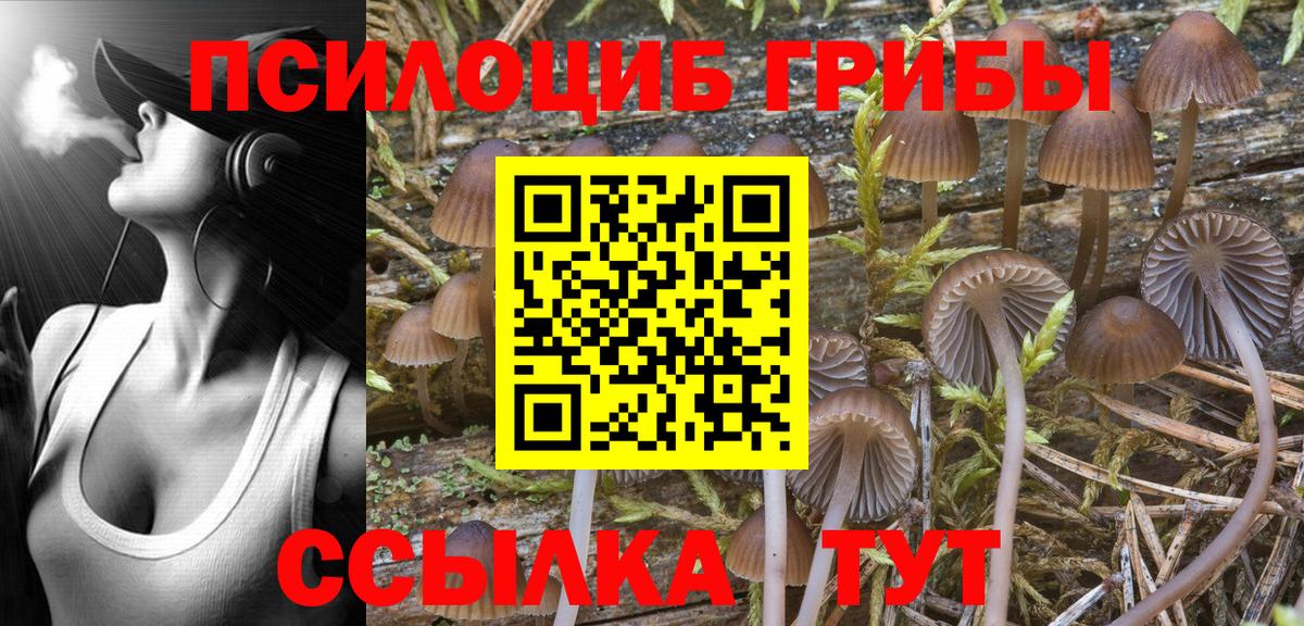 Псилоцибиновые грибы MAGIC MUSHROOMS  Псилоцибиновые грибы прущие грибы  Белебей  Вход с VPN 