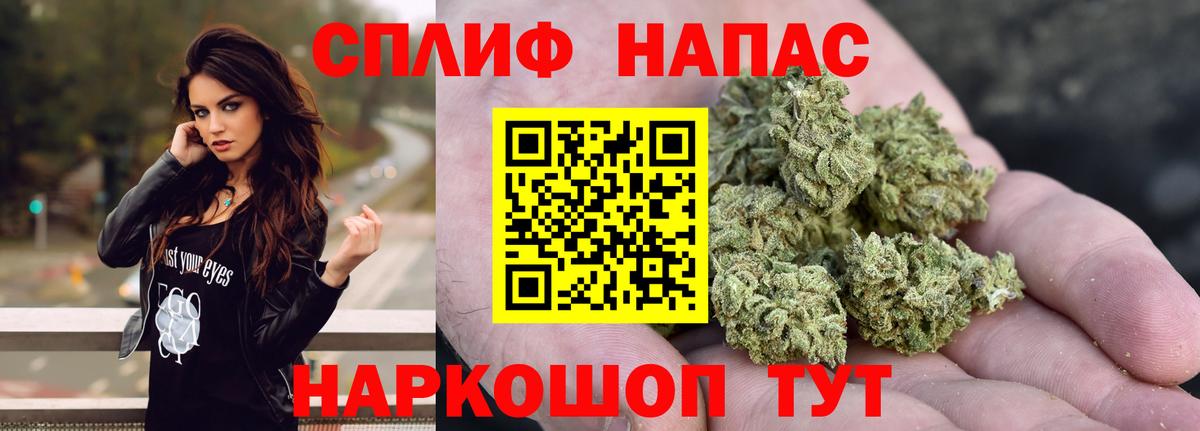 Бошки Шишки семена Белебей